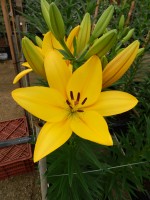 [5691 DJ LZ-02 No02.JPG]